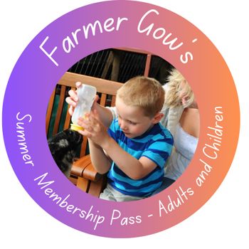 Summer Membership Pass for an Adult or Child, 3+ years