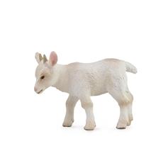 Goat Kid, walking