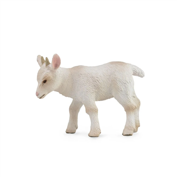 Goat Kid, walking