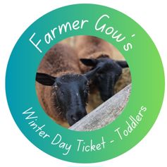 Winter Day Ticket for Toddlers aged 1-2 years