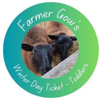 Winter Day Ticket for Toddlers aged 1-2 years