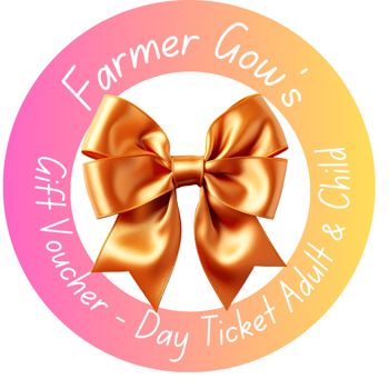 Gift Voucher - Day Ticket for an Adult or Child, 3+ years