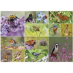 RSPB Wildlife Wonder