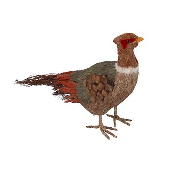 Pheasant