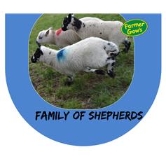 Family of Shepherds