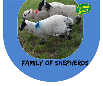 Family of Shepherds