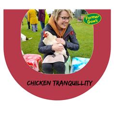 Chicken Tranquillity