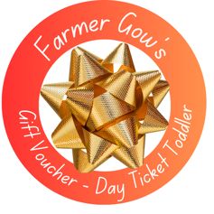 Christmas Gift Voucher - Day Ticket for a Toddler, 1-2 years