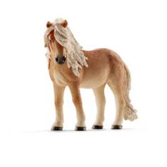 Pony - Icelandic mare
