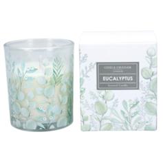 Candle - Eucalyptus Garden