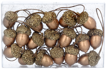 Acorns (box of 18)