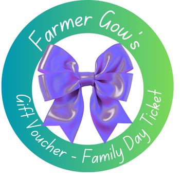 Gift Voucher - Day Ticket for a Family, 4 persons