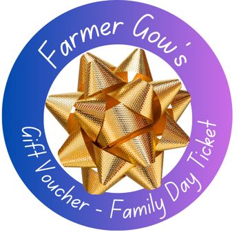 Christmas Gift Voucher - Day Ticket for a Family, 4 persons