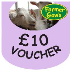 Gift Voucher - £10