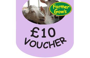 Gift Voucher - £10