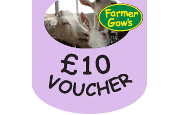 Gift Voucher - £10