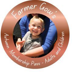 Autumn Membership Pass for Adults and Children, 3+ years, up to 12-weeks