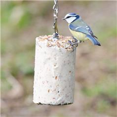 National Trust - Peanut Cake with Mealworms