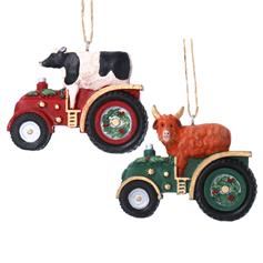 Cow in Tractor