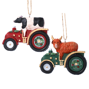 Cow in Tractor