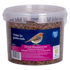 Dried Mealworms Bucket, 900g