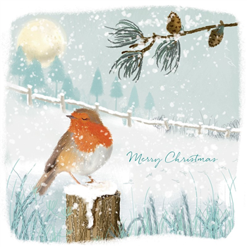 Robin In Snow (Pack of 10)