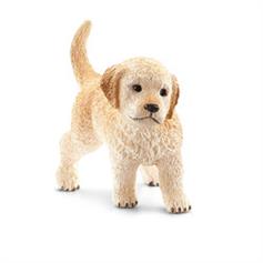 Dog - Golden Retriever, puppy
