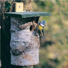 National Trust Birch Log Nest Box, 32 mm