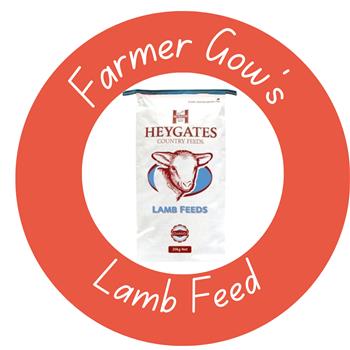 Bag of feed for Lambs