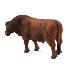 Red Angus Bull