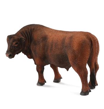 Red Angus Bull