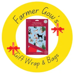 Gift Wrap & Bags