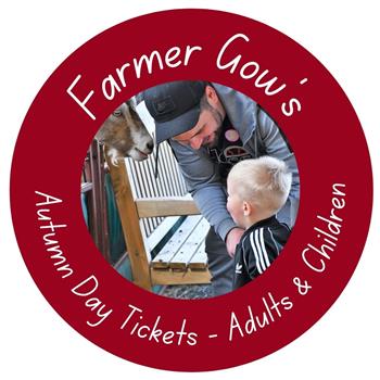 Autumn Day Ticket for Adults and Children, 3+ years