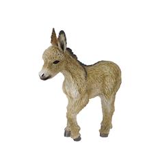 Donkey Foal