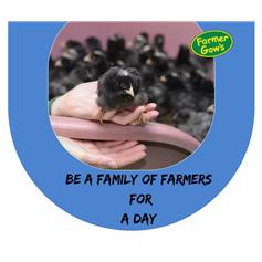 Be a Farmer, for Adults