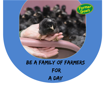 Be a Farmer, for Adults