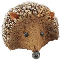 Large Twig Hedgehog