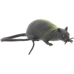 Stretchy rat