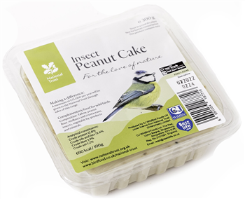 National Trust - Insect Peanut Cake
