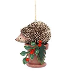 Hedgehog on Pot