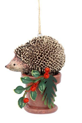 Hedgehog on Pot