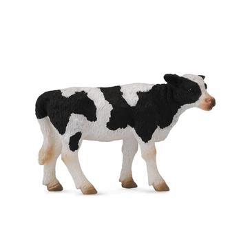 Friesian Calf
