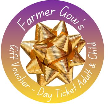 Christmas Gift Voucher - Day Ticket for Adult and Child 3+ years