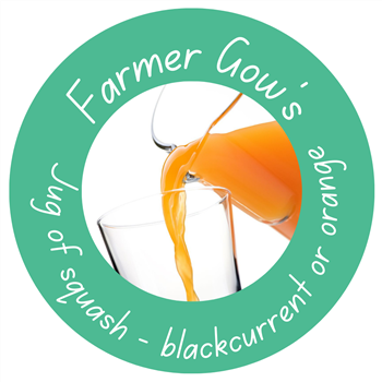 Jug of squash - blackcurrant or orange