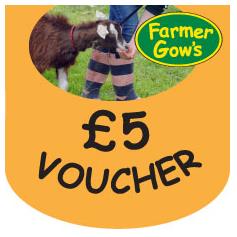 Gift Voucher - £5