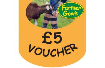 Gift Voucher - £5