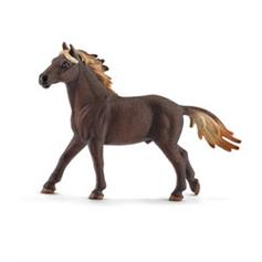 Horse - Mustang stallion