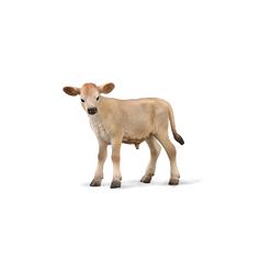 Jersey Calf