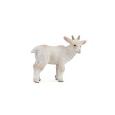 Goat Kid, standing