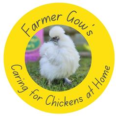 Caring for Chickens at Home